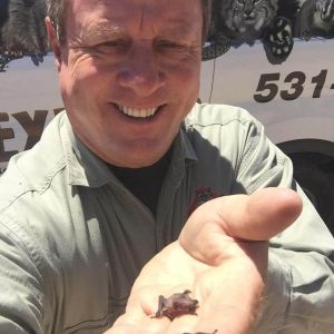 Marc with baby bats