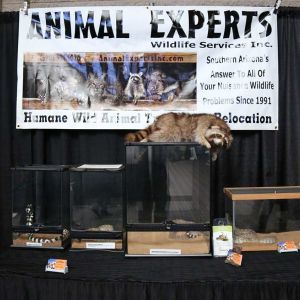 A raccoon exhibit. 