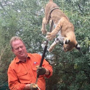 Marc holding bobcat